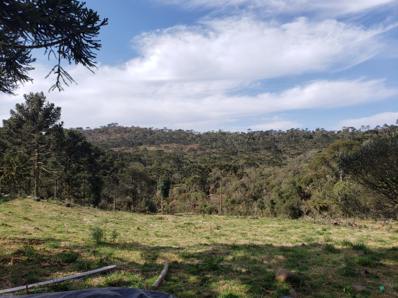 Imagem Imóvel com 1 Quarto à Venda, 20.000 m² em Zona Rural - Urubici