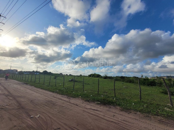 Imagem Terreno à Venda, 170.000 m² em Jardins - São Gonçalo Do Amarante Imagem Terreno à Venda, 170.000 m² em Jardins - São Gonçalo Do Amarante
