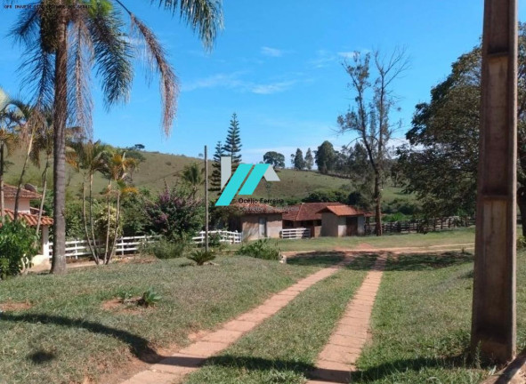Imagem Fazenda à Venda, 200 m² em Zona Rural - Piedade Dos Gerais Imagem Fazenda à Venda, 200 m² em Zona Rural - Piedade Dos Gerais