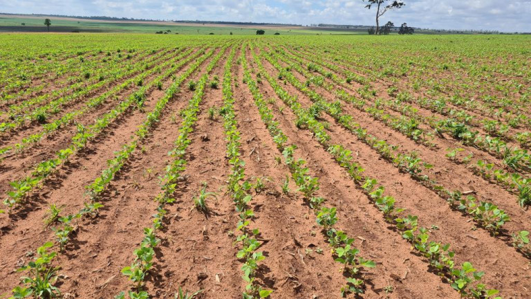 Imagem Imóvel à Venda, em Rural - Bataguassu Imagem Imóvel à Venda, em Rural - Bataguassu