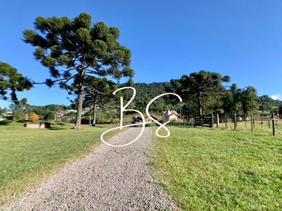 Imagem Imóvel com 2 Quartos à Venda, 40.000 m² em Serra Grande - Gramado