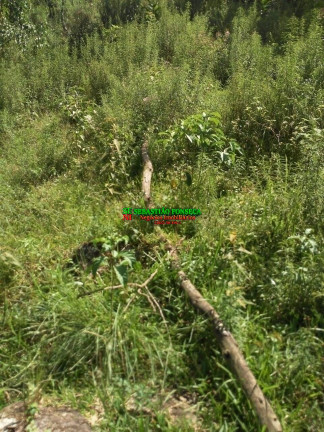 Imagem Chácara à Venda, 24.200 m² em São Francisco Xavier - São José Dos Campos Imagem Chácara à Venda, 24.200 m² em São Francisco Xavier - São José Dos Campos