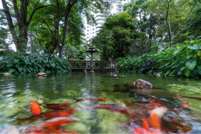 Imagem Imóvel com 4 Quartos à Venda, 240 m² em Santo Amaro - São Paulo Imagem Imóvel com 4 Quartos à Venda, 240 m² em Santo Amaro - São Paulo