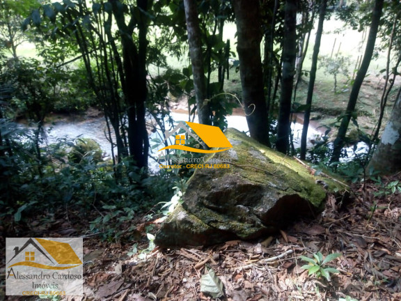 Imagem Terreno à Venda, 20.000 m² em Lumiar - Nova Friburgo Imagem Terreno à Venda, 20.000 m² em Lumiar - Nova Friburgo