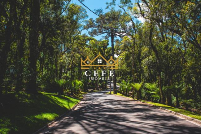 Imagem Casa com 4 Quartos à Venda, 1.096 m² em Centro - Gramado Imagem Casa com 4 Quartos à Venda, 1.096 m² em Centro - Gramado