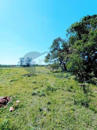 Imagem Chácara à Venda, 4.800 m² em Curralinhos - Passo De Torres Imagem Chácara à Venda, 4.800 m² em Curralinhos - Passo De Torres