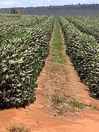 Imagem Fazenda à Venda, 31.860.000 m² em Zona Rural - Capelinha Imagem Fazenda à Venda, 31.860.000 m² em Zona Rural - Capelinha
