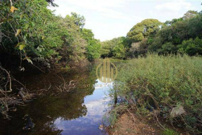 Imagem Fazenda à Venda, 1.000 m² em Centro - São Miguel Do Araguaia Imagem Fazenda à Venda, 1.000 m² em Centro - São Miguel Do Araguaia