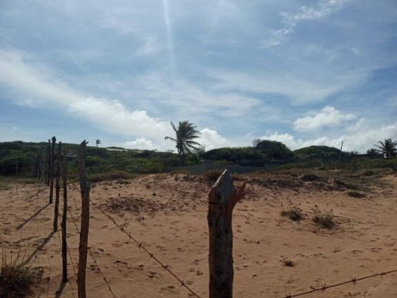 Imagem Terreno à Venda, 900 m² em Tibau Do Sul