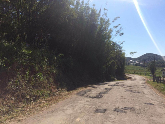 Imagem Terreno à Venda, 61.000 m² em Ambrósio - Garopaba