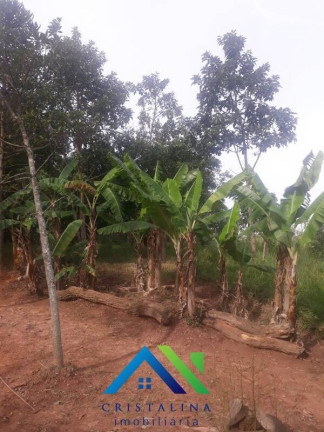 Imagem Chácara com 4 Quartos à Venda, 20.000 m² em Botujuru (botujuru) - Campo Limpo Paulista