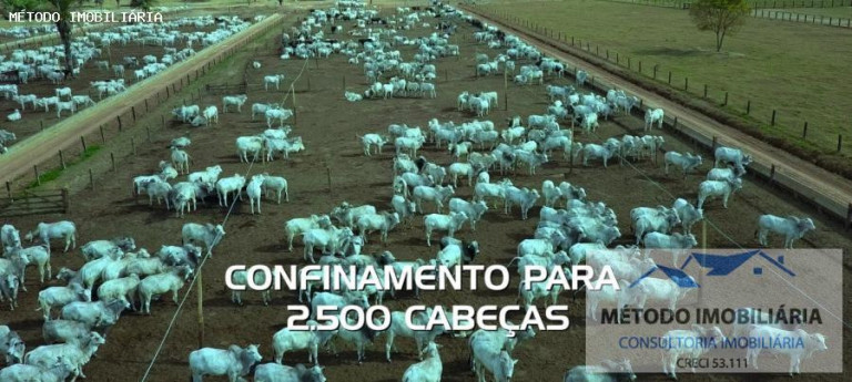 Imagem Fazenda à Venda, 2.085 m² em Rural - Juara Imagem Fazenda à Venda, 2.085 m² em Rural - Juara
