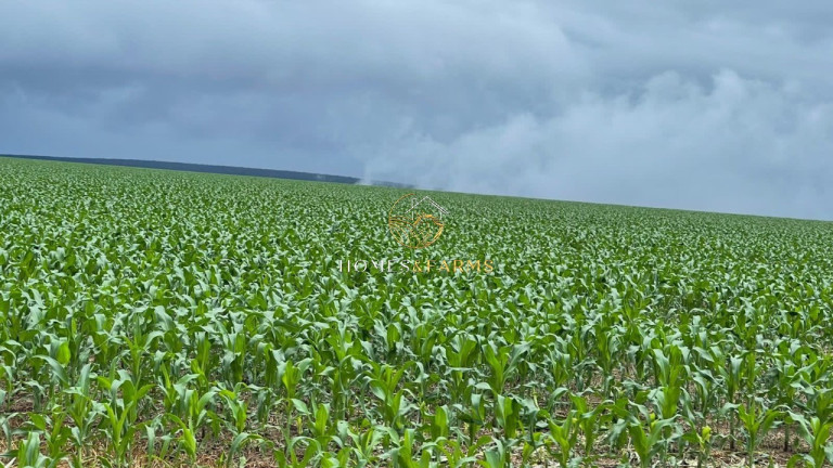 Imagem Imóvel com 3 Quartos à Venda, 7.546 m² em Zona Rural - Nobres Imagem Imóvel com 3 Quartos à Venda, 7.546 m² em Zona Rural - Nobres