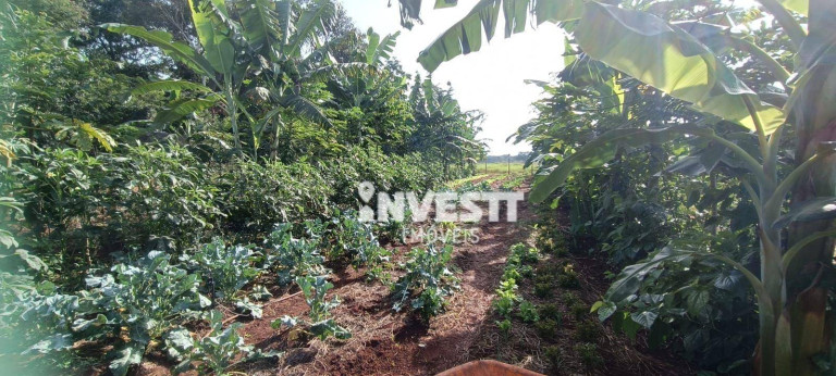 Imagem Chácara com 1 Quarto à Venda, 2.390 m² em Florata Condomínio Florestal - Santo Antônio De Goiás Imagem Chácara com 1 Quarto à Venda, 2.390 m² em Florata Condomínio Florestal - Santo Antônio De Goiás