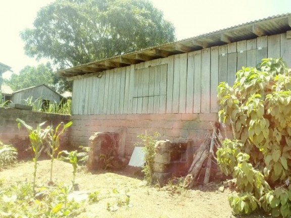 Imagem Imóvel com 2 Quartos à Venda, 99 m² em Fazenda Fialho - Taquara Imagem Imóvel com 2 Quartos à Venda, 99 m² em Fazenda Fialho - Taquara