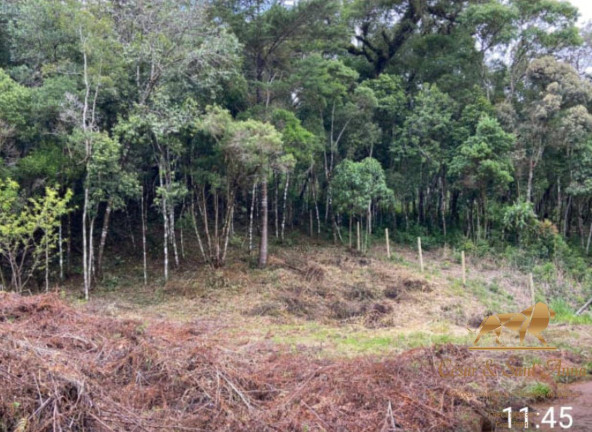 Imagem Terreno à Venda, 1.490 m² em Alataia - Campos Do Jordão Imagem Terreno à Venda, 1.490 m² em Alataia - Campos Do Jordão