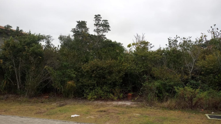 Imagem Terreno à Venda, 700 m² em Praia Do Forte - Mata De São João Imagem Terreno à Venda, 700 m² em Praia Do Forte - Mata De São João