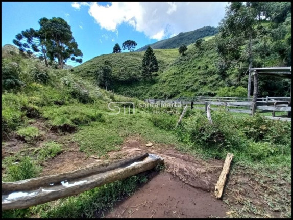 Imagem Imóvel à Venda, 786.000 m² em Cafundó - Silveiras