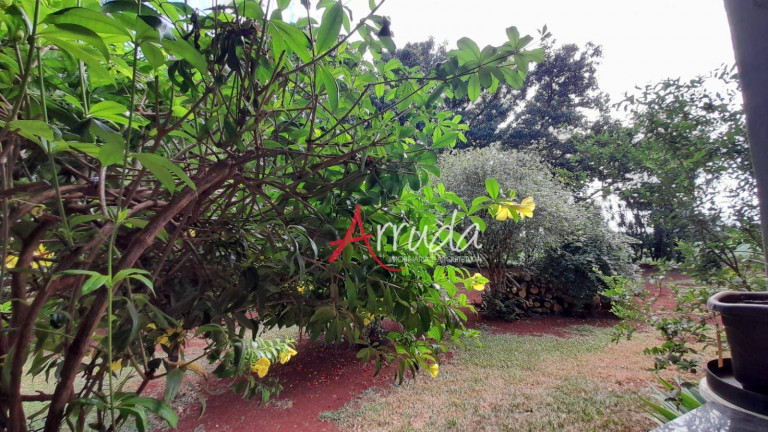 Imagem Chácara com 3 Quartos à Venda, 24.200 m² em Zona Rural - Medianeira