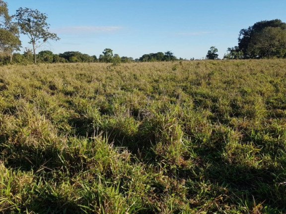 Imagem Chácara à Venda, 5 m² em Zona Rural - Israelândia