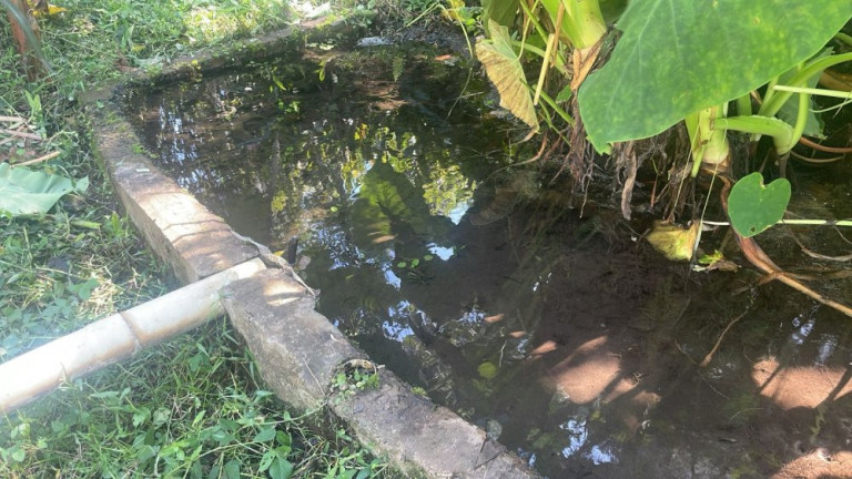 Imagem Imóvel com 3 Quartos à Venda, 200 m² em Rio Verde - Bauru