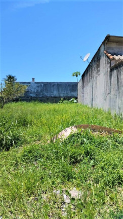 Imagem Terreno à Venda, 250 m² em Balneário Monte Carlo - Ilha Comprida Imagem Terreno à Venda, 250 m² em Balneário Monte Carlo - Ilha Comprida