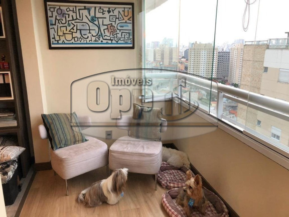 Imagem Cobertura com 2 Quartos à Venda, em Cambuci - São Paulo Imagem Cobertura com 2 Quartos à Venda, em Cambuci - São Paulo