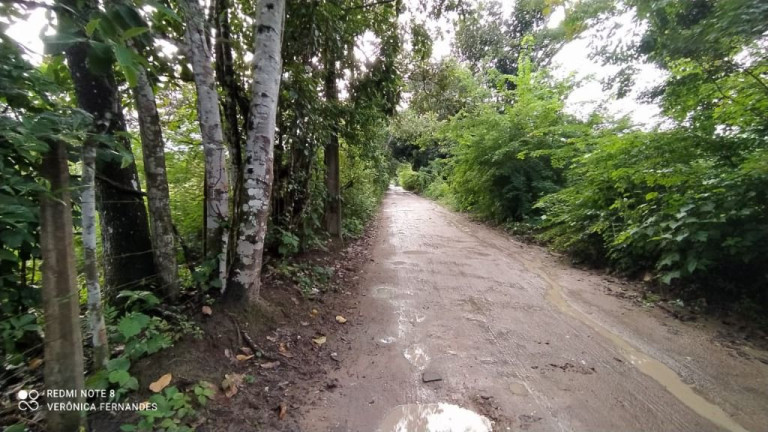 Imagem Terreno à Venda, 5.000 m² em Aldeia Dos Camarás - Camaragibe Imagem Terreno à Venda, 5.000 m² em Aldeia Dos Camarás - Camaragibe