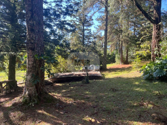 Imagem Terreno à Venda, 5.633 m² em Pousada Da Neve - Nova Petrópolis