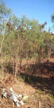 Imagem Imóvel à Venda, 5.909 m² em Campo Grande - Rio De Janeiro