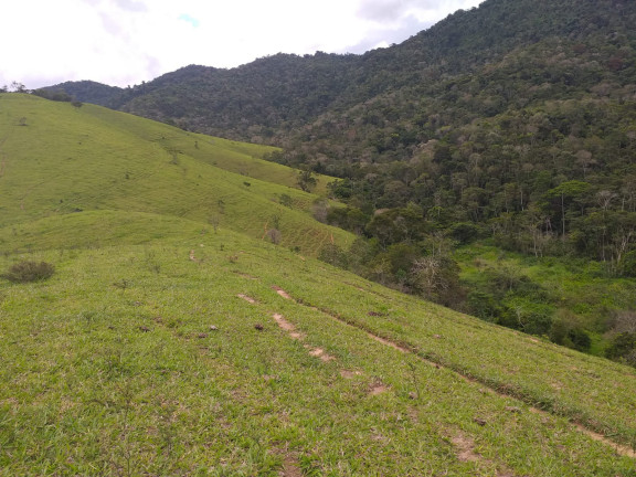 Imagem Fazenda à Venda, 9.790.000 m² em Centro - Trajano De Morais
