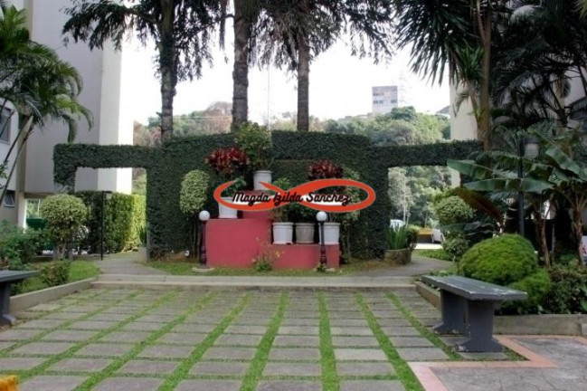 Imagem Apartamento com 2 Quartos à Venda, 45 m² em Jardim Santa Terezinha (zona Leste) - São Paulo Imagem Apartamento com 2 Quartos à Venda, 45 m² em Jardim Santa Terezinha (zona Leste) - São Paulo