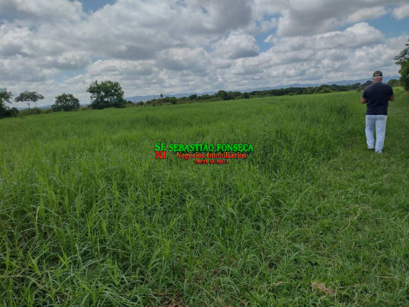 Imagem Chácara à Venda, 12 m² em Chácara Marambaia - Caçapava Imagem Chácara à Venda, 12 m² em Chácara Marambaia - Caçapava
