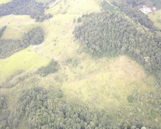 Imagem Imóvel à Venda, 6 m² em Cândido - Campestre