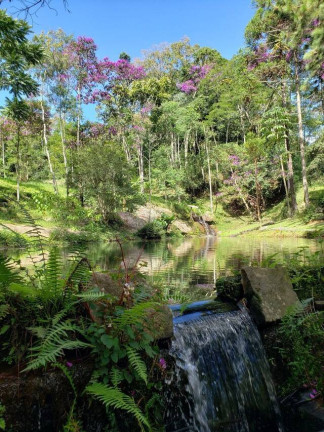 Imagem Chácara com 5 Quartos à Venda, 20 m² em Jardim Ouro Preto - Nova Friburgo