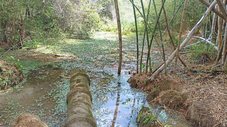 Imagem Chácara com 1 Quarto à Venda, 10 m² em Capim Da Angola - Paraibuna Imagem Chácara com 1 Quarto à Venda, 10 m² em Capim Da Angola - Paraibuna