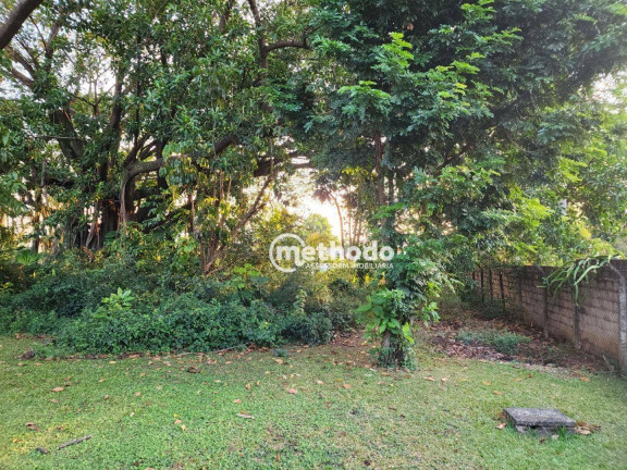 Imagem Terreno à Venda, 5.090 m² em Taquaral - Campinas Imagem Terreno à Venda, 5.090 m² em Taquaral - Campinas