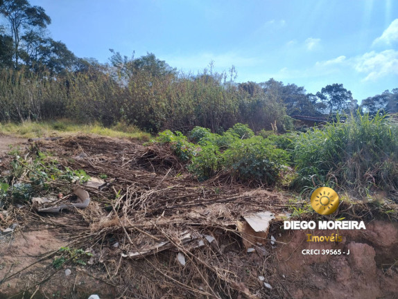 Imagem Terreno à Venda, 139 m² em Terra Preta - Mairiporã Imagem Terreno à Venda, 139 m² em Terra Preta - Mairiporã