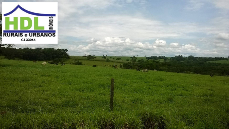 Imagem Fazenda à Venda, 38 m² em Zona Rural - Piracanjuba Imagem Fazenda à Venda, 38 m² em Zona Rural - Piracanjuba