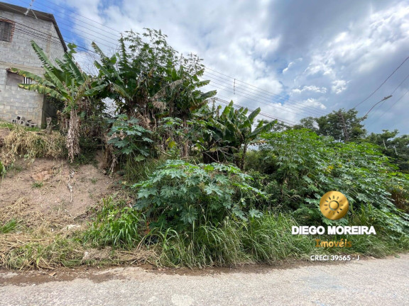 Imagem Terreno à Venda, 250 m² em Terra Preta (terra Preta) - Mairiporã