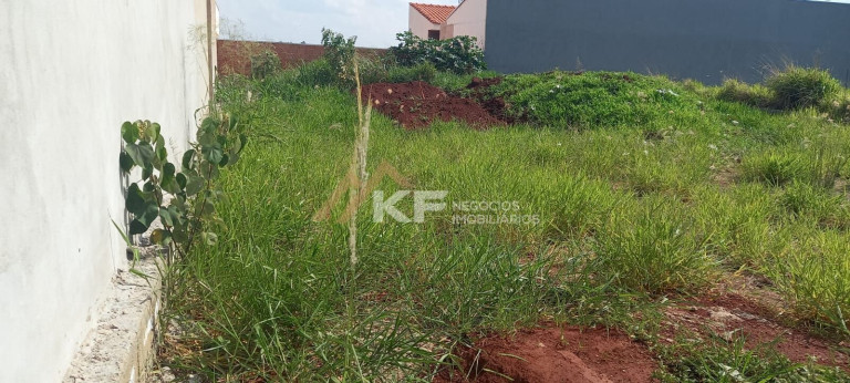 Imagem Terreno à Venda, 266 m² em Centro - Cravinhos Imagem Terreno à Venda, 266 m² em Centro - Cravinhos