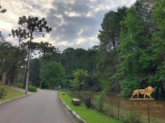 Imagem Terreno à Venda, 2.450 m² em Capivari - Campos Do Jordão Imagem Terreno à Venda, 2.450 m² em Capivari - Campos Do Jordão