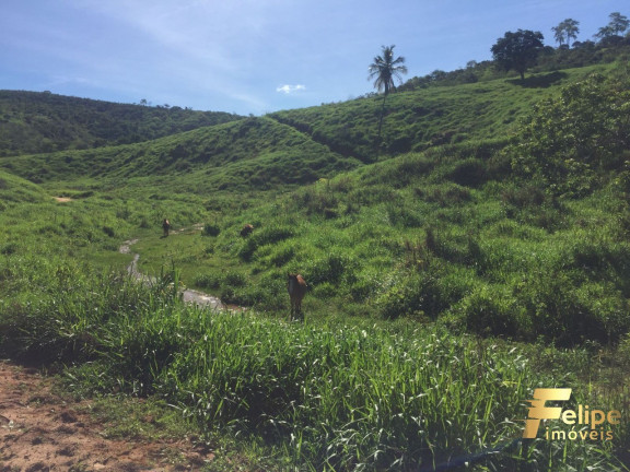 Imagem Imóvel com 1 Quarto à Venda, 113 m² em área Rural De Linhares - Cariacica