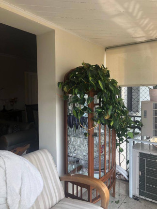Imagem Apartamento com 3 Quartos à Venda, 139 m² em Vila Andrade - São Paulo