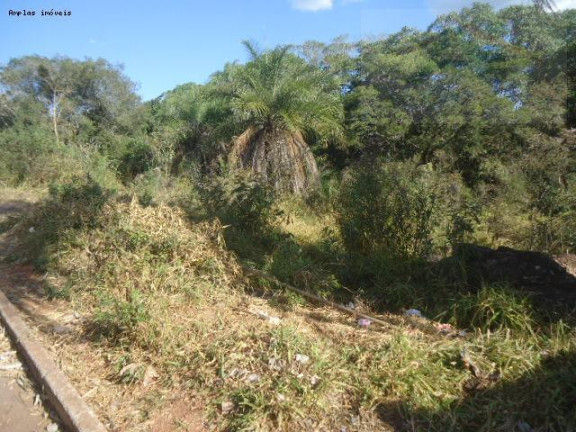 Imagem Terreno à Venda, 377 m² em Residencial Campo-da Canela - Mateus Leme Imagem Terreno à Venda, 377 m² em Residencial Campo-da Canela - Mateus Leme