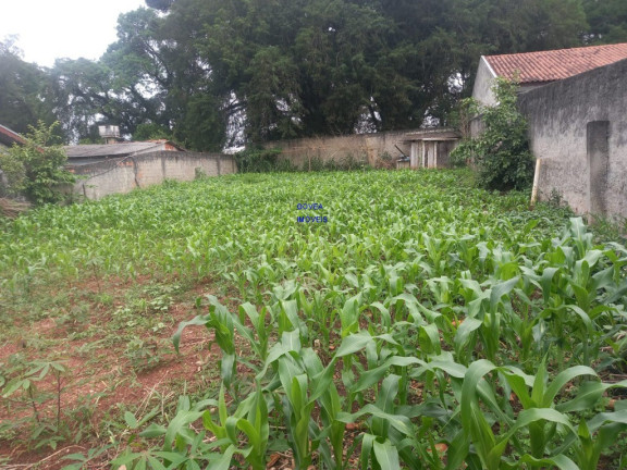 Imagem Terreno à Venda, 423 m² em Costeira - Araucária Imagem Terreno à Venda, 423 m² em Costeira - Araucária