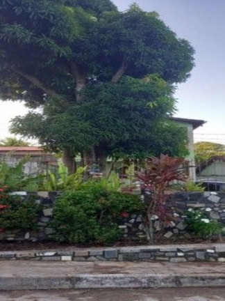 Imagem Casa com 3 Quartos à Venda, 200 m² em Barra Do Jacuípe - Camaçari