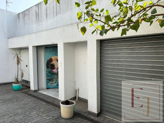 Imóvel Comercial à Venda, 180 m² em Santa Paula - São Caetano Do Sul