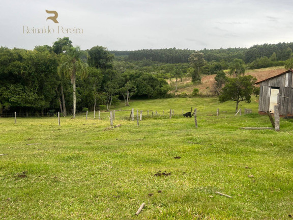 Imagem Chácara com 2 Quartos à Venda, 32.000 m² em Fazenda Fialho - Taquara