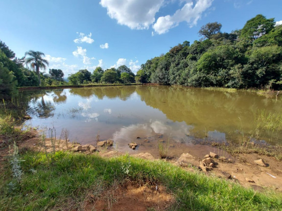 Imagem Chácara à Venda, em Sítio Linha Esperança - Iomerê Imagem Chácara à Venda, em Sítio Linha Esperança - Iomerê
